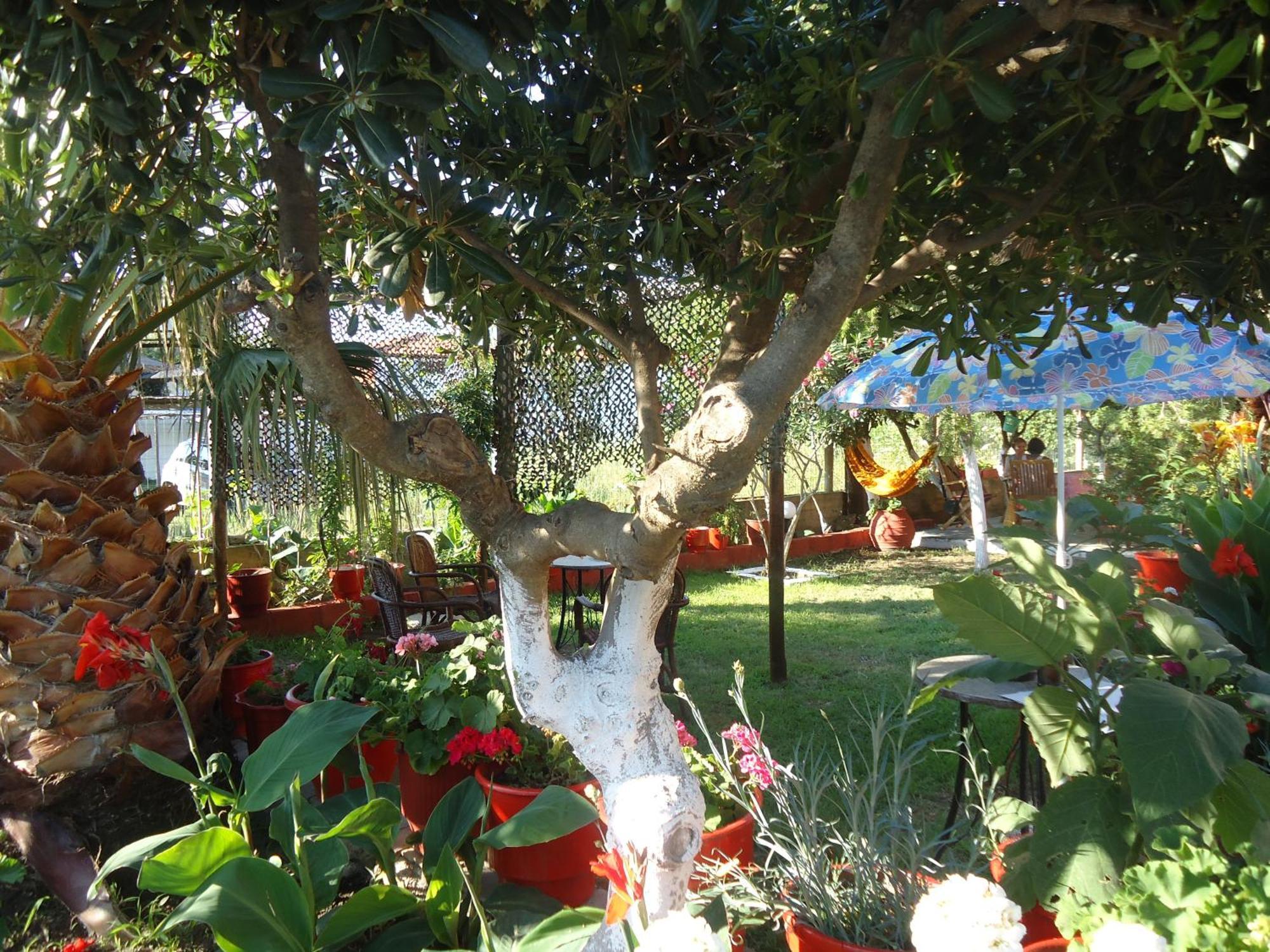 House Souzanna Апартаменты